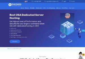USA Dedicated Server Hosting - Are you looking for a cost-effective solution to host your project? Get an blazing fast high-performance Best USA dedicated server. Even though these are our cheap priced USA dedicated server, we offer you a very high level of performance and security compared to THE competitors offers at a similar price level. You can host multiple projects or websites on cheap USA dedicated server you control and manage with total autonomy.