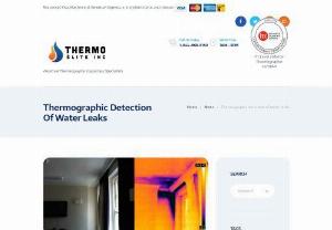 Thermographic detection of water leaks - Thermo Elite Inc - Water leaks are a serious concern for home and business owners, especially if your property predates the 1950's. You can certainly try to find the center of your problem by feeling for moisture, drilling holes in your walls, lifting up your floor boards, etc