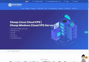 Cheap Linux Cloud, Windows VPS Hosting Plan - Effective website and web hosting services are the requirements of the time. But what if these valued services are available for you that to be in the price of peanuts. Surprised!!! Indeed true.