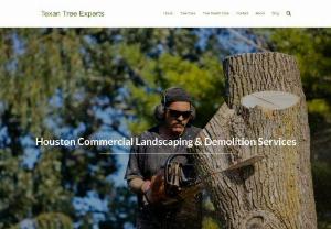 Texan Tree Experts - Homeowners are continually searching for a specialty trade service for their household maintenance needs. And yet, it seems as if the one thing that always goes overlooked is a tree care provider.
Many people don't pay much attention to their trees. That is until there's something noticeably wrong with it.
Sadly, by that time it might be too late to help it. However, with professional arborists services, your trees might be saved.
If you don't have a tree care specialist yet, Texas Tree Exper