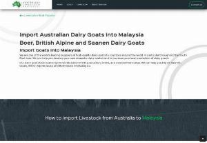 Australian Dairy Goat Export Malaysia - 
If you are looking to import livestock from the best Australian dairy goat export malaysia then visit Australian Livestock Exporters. They have a pure breed of dairy cattle, sheep, goats, etc.