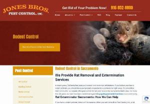 Jones Bros Pest Control, Inc - Rodents - Rodents- If you find a rodent in your home, it is likely that there are others in your home too. We do not recommend that you try to remove the animal yourself. Call us today to discuss your situation. We could help you with rodent control and prevention!