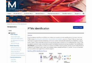 PTMs Identification - Since PTMs are generally present in very low abundance, specific enrichment procedures are required before PTMs identification. MtoZ Biolabs has established a powerful and professional PTMs analysis platform, which includes Thermo Fisher Q ExactiveHF and Obitrap Fusion Lumos mass analyzer system, coupled with Nano-LC system. Our aim is to provide the most professional support for our clients\' research.
