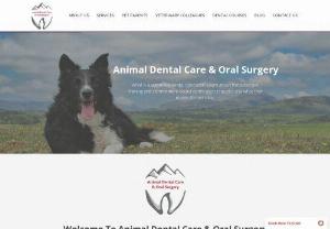 Animal Dental Care & Oral Surgery - The top veterinary dental specialists in Colorado.