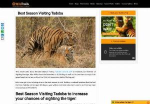 Best Season Visiting Tadoba National Park - This article talks about the best season visiting Tadoba national park and also the best time to visit to increase your chances of sighting the tiger.