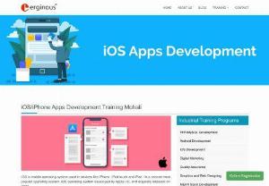Best iOS App Development Training in Mohali | Chandigarh - Erginous provides industrial training in ios app development where you will get a chance to work on live projects with our experienced team of developers