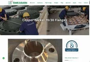 Screenshot of Dinesh Industries - 70/30 Copper Nickel Flanges