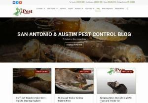 Blog - San Antonio & Austin Pest Control - iPestpros is posting articles for all type of pest control, prevention tips, exterminators in San Antonio and Austin. Read more.
