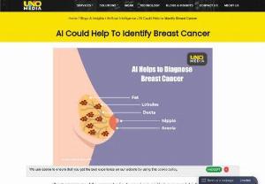 AI Could Help to Identify Breast Cancer - Breast cancer is one of the common tending to spread very quickly in women and it is the second leading cause of cancer death in women after lung cancer in the world.