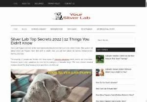 Screenshot of Puppies