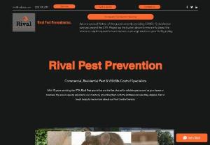 Rival Pest Prevention - 24/7 Industry leading Commercial & Residential, Pest & Wildlife control proudly servicing the GTA.