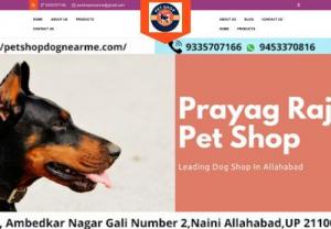 Pet Store & Dog Shop in Naini Allahabad - Prayag Raj Pet Shop is one of the best shop for dogs and pet store in Naini Allahabad (Prayagraj). We are selling all kinds of dogs breed. Call 9335707166