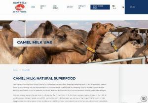 Best Camel Farm in UAE | Al Ain Farms - Al Ain Farms is one of the best camel farms in the UAE providing fresh and high-quality camel dairy products in the UAE. The camel dairy products include fresh camel milk, camel milk powder and so on.