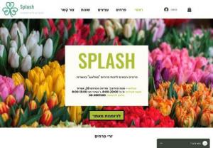 Splash - Welcome to the site of \
