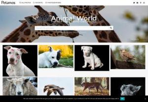 Free animal pictures - Download Free Featured animal pictures  (Cats, Dogs, Mammals, Birds, Reptiles, fish ...)
