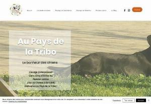 In the Tribo Country - Cane corso breeding and dog boarding in Loire-Atlantique: keep your dog in the heart of the countryside!