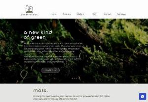 themossbox - Solutions of interior decoration with moss paintings, 100% real moss walls without the need to care or water.