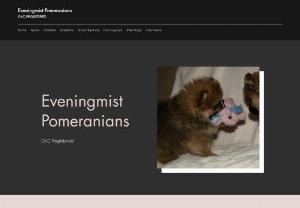 Eveningmistpoms - Small home based breeder, breeding for show or companion. our breeding stock is health tested for breed specific genetic issues