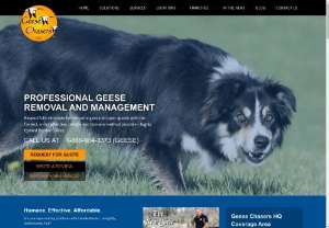PROFESSIONAL GEESE REMOVAL SERVICES - Respectfully eliminate bothersome geese on open spaces with the fastest, most effective, reliable and humane method possible  highly trained Border Collies