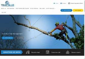 Best Arborist in Melbourne - At True Blue Trees, we have the friendly and experienced arborists here for you. From tree stump removal to mulching and land clearing, we are the arborist Melbourne can rely on!
