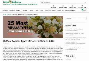 Types of flowers - There are many types of flowers. When you want to give someone a flower gift, you have to look for the best. People have different tastes for different types of flowers. Carry out your research. Understand the type of flowers that the person you want to give would love most