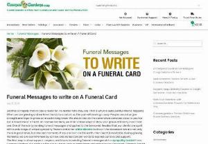 Funeral card messages - Parents are the closest Friends in everyones life, and losing one of them is truly painful. Parents have had our backs from day one. To sympathize with someone who has lost parents, the best way to pay your last respect and love is by writing a soulful funeral card messages. Here are a few cremation messages to help you.