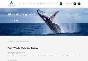 Of whales and adventures: thrilling experiences you shouldnt miss in Perth - Looking for a destination that will not only take your breath away but also help revive your zen? If youre in Western Australia, head over to Perth to have a fun and unforgettable vacation. Go whale watching in Perth or perhaps beach hopping? You can thank us later!