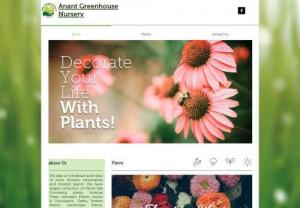 Anant Greenhouse Nursery - We deal in wholesale and retail of fruits, flowers, ornamental and forestry plants. We have largest collection of Plants like Flowering plants, Avenue Trees, Aromatic Plants, cactus & Succulents, Ferns, Indoor Plants, Landscape Plants, Bamboo and many more. We deliver 1000+ nursery plants.One can easily get the disease-free plants at an affordable rate in our nursery. We are formed with the aim to supply the best quality plants to farmers and others.