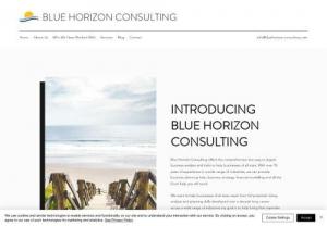 Blue Horizon Consulting - With 10+ years of experience in big corporates I have now decided to use those analysis skills to help small-medium businesses maximise their profits.