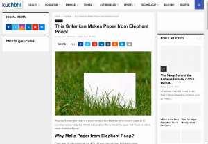 This Srilankan Makes Paper from Elephant Poop! - Thushita Ranasinghe today is a proud owner of Eco Maximus that exports paper to 30 countries across the globe.
