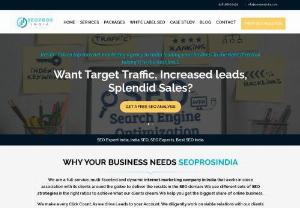 SEOPROS INDIA - We are a full-service, multi-faceted and dynamic internet marketing company in India that works in close association with its clients around the globe to deliver the results in the SEO domain. We use different sets of SEO strategies in the right ratios to achieve what our clients dream. We help you get the biggest share of online business.