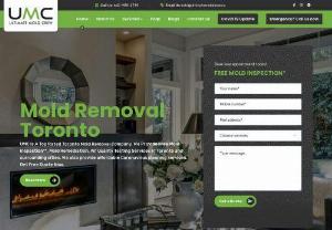 Mold Removal & Remediation Company in Toronto 🏅 - UMC - Ultimate Mold Crew provides ⭐️ best mold removal, detection & remediation services in Toronto, Mississauga, Brampton & GTA. Call our mold removal specialist.