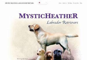 MysticHeather Labrador Retrievers - Selective breeding of Labrador retrievers in all 3 colours in Athens -Greece. Certified by FCI and the National Kennel club of Greece.