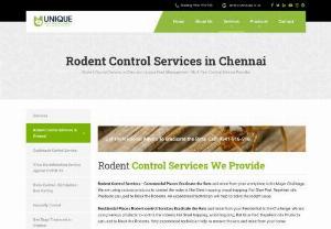 Rat control services in Chennai - Unique Pest Control has custom service of a specialized rodent control which is eco-friendly.
 Call : 9941-916-916

Rats carry a wide range of diseases and parasites that are potentially harmful to humans and animals. 
Other diseases, such as salmonella, affect both humans and animals, and parasites can present a further hazard. 
Often rat infestations are a sign of a related problem, such as a drainage issue.Call:9941-916-9
