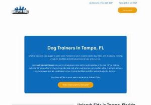 Unleash Fido - Unleash Fido offers professional dog training in Tampa, Florida. We provide expert dog obedience and puppy training courses, as well as board and train services. Ask us about our dog boot camps too! Contact us for scheduling. || Address: 3502 Paul Ave, Tampa, FL 33611, USA || Phone: 813-512-3347
