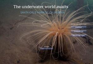 Ocean Explorer - The underwater world awaits.