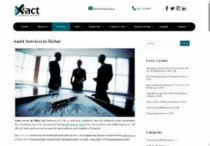 Screenshot of #1 Audit Services in Dubai | Best Auditing Services UAE | Auditing Firm