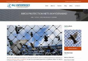 Birds protection safety nets in Hyderabad - Pigeons and birds entering apartments, factories, hotels and hospitals is a major issue and issue for any common man. Their droppings causes unpleasant environment for this reason we provide the nets which protects the area from such incidents. Sadha Enterprises one of the best company in Providing best quality pigeon nets which suits for any types of balcony and open area to avoid pigeon or bird entering into premises. Birds Protection Nets in Hyderabad are glad to say that we have served more