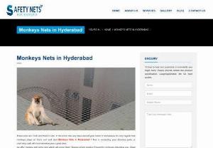 Monkey safety nets in Hyderabad - These nets are Thick and Hard in size. In the event that any trees around your home or workplaces It\'s very regular that monkeys plays on tree\'s root and stem.Monkeys Nets in Hyderabad If tree is contacting your structure patio or overhang cash will inconvenience you a great deal.
we offer monkey well being nets which will cover Open Spaces where monkey frequently continues disturbing you. Good is without executing or harming will fix monkey Safety Nets as a changeless arrangements.