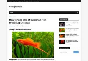 Swordtail Fish Breeding - Swordtail fish is a freshwater aquarium species that are commonly seen in green and red colors. Aqua Caring provides information regarding efficient ways of looking after the fish and making the breeding process easy to understand for new breeders.