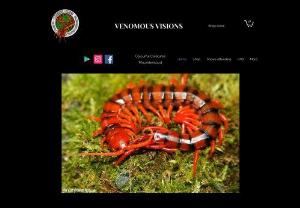 Venomous Visions - Venomous Visions is the largest UK supplier of centipedes and millipedes to buy. We also have a wide range of spiders, scorpions and other inverts
