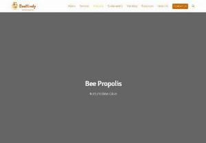 Bee Propolis | Beehively - Bee Propolis, a bee by-product offered by BeeHively, is produced by bees from resins collected from trees to maintain cleanliness in their colonies.