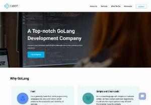 GoLang Development Company USA - Our golang development experts in USA , Canada and other countries of the world help your company to achieve your tech goals consisting of GoLang Web and mobile Application Development, Support and Maintenance, Cross-Platform Development, cloud app development etc