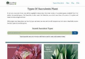 Types of Succulents | Succulents Greener - This blog is all about types of succulents. Here we introduce variety of succulents exists globally.