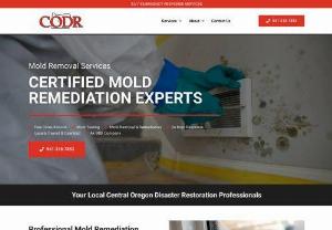 Finding Mold Removal Services - When mold damages your home or business, call us first and our professionals will help restore your house or business to pre-disaster condition. Unaddressed plumbing leaks and long term water intrusion are the primary sources of mold growth.