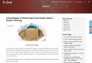 Advantages of Pellet Feed Over Mash Feed in Broiler Farming - Lark Engineering is the leading pellet feed plant manufacturers in India analyze advantages of pellet feed over mash feed in broiler farming. We can covert that mash feed project into a pellet feed project. We at Lark have taken up the effort to save time and one of the most frequent queries any person comes across while planning to set up and choose between whether he/she should opt for pellet feed plant or mash feed plant for broiler farming.