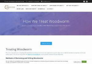 How We Treat Woodworm - The most important part of dealing with woodworm is making sure the correct treatment is used. It's important to identify woodworm properly as there are various types. Once we are happy with the diagnosis of woodworm, we can provide the most effective treatment.