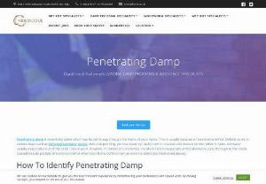 Penetrating Damp Survey - Penetrating Damp Treatment - Penetrating damp treatment in Dumfries and Galloway. A penetrating damp survey can diagnose the issue and help treat the affected area.