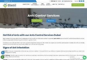Ants Control Services Dubai - Get the best ants control services Dubai with The Shamil. The Shamil helps with ant control and suggest the best solutions for ants related issues. Get an appointment today to protect yourself from ants & make your premises ants-free.