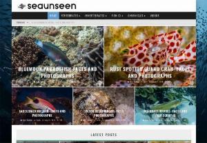 Seaunseen - Seaunseen provides you an incredible look at the unseen sea; the people, places and creatures underwater which are normally too hidden, too fast, or too inaccessible, for most to ever see or experience. Seaunseen invites you to see this unseen sea through underwater videography and photography, and experience the world underwater.